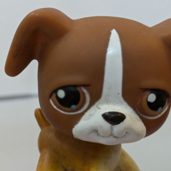Littlest Pet Shop #25 Brown White Boxer Puppy Dog, Brown Eyes Bobblehead - Picture 2 of 9